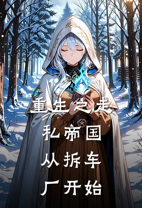 重生之走私帝国：从拆车厂开始(赖重生王建军)完整版免费小说_完结版小说推荐重生之走私帝国：从拆车厂开始(赖重生王建军)