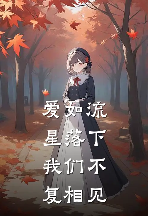 爱如流星落下，我们不复相见宋礼城沈七热门的小说_热门小说在线阅读爱如流星落下，我们不复相见宋礼城沈七