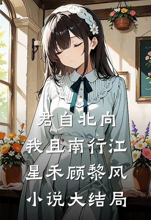 君自北向,我且南行江星禾顾黎风小说大结局