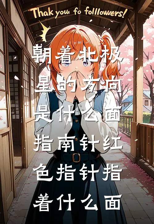 朝着北极星的方向是什么面,指南针红色指针指着什么面