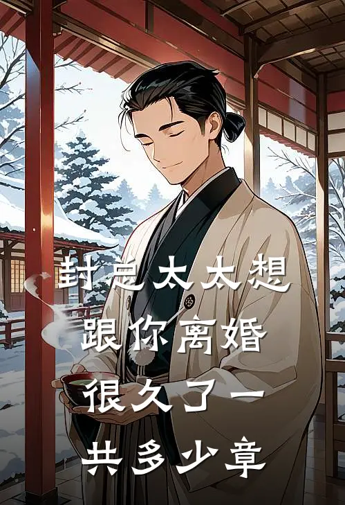 封总太太想跟你离婚很久了一共多少章