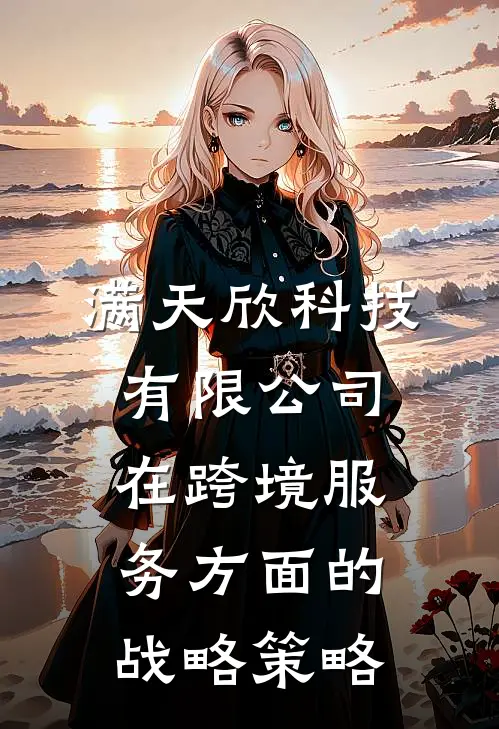 满天欣科技有限公司在跨境服务方面的战略策略