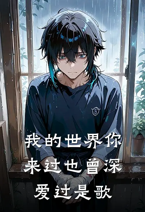 我的世界你来过也曾深爱过是歌