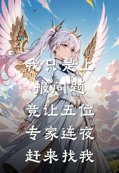 我只是上报问题，竟让五位专家连夜赶来找我